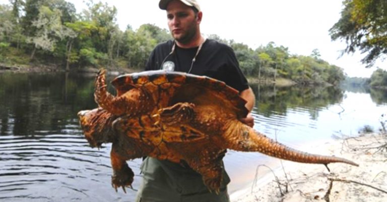 Las criaturas salvadoreñas más peligrosas y su impacto en la sociedad-1