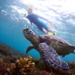 Criaturas benévolas en leyendas salvadoreñas: mitos y creencias