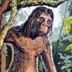 Comparando criaturas salvadoreñas con otras de América Latina